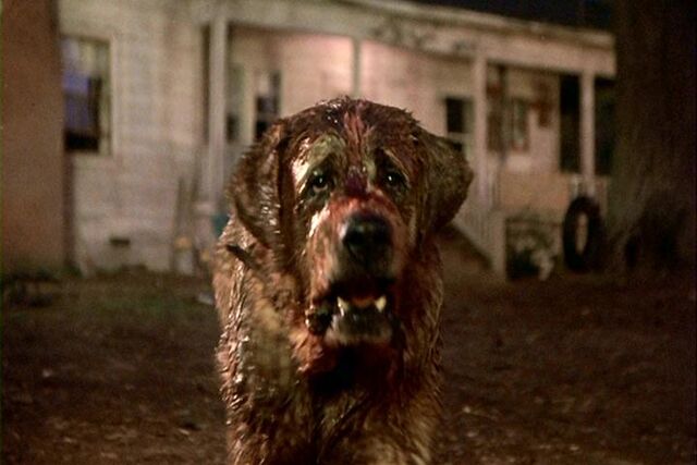 File:Cujo2b.jpg