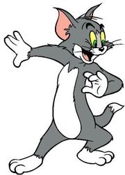 Tom the Cat