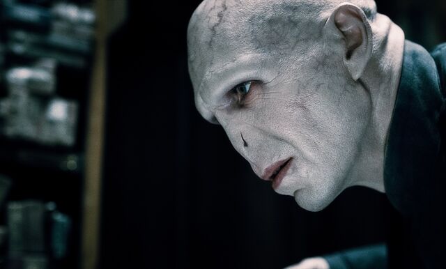 File:Harry-potter-and-the-deathly-hallows-part-1-movie-photo-30.jpg