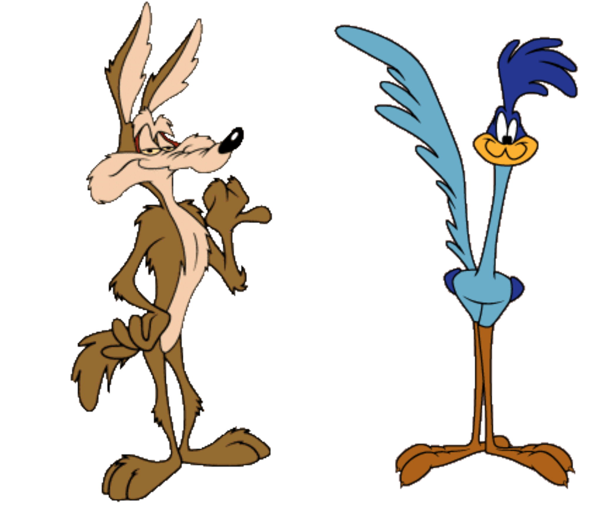 roadrunner and coyote roadrunner and coyote