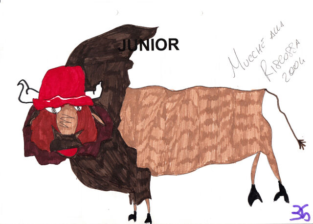 File:JUNIOR NEW.jpg