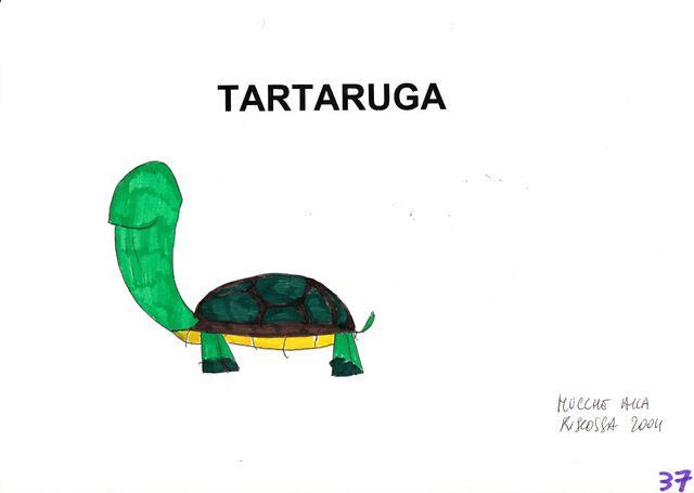 File:TARTARUGA NEW.jpg