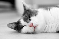 Burnout-syndrom-19c96572-fb38-4e30-bda8-5cedc05bb9f9.jpg