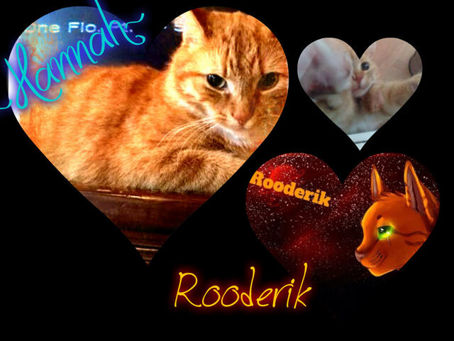 Bestand:Pizap.com14105999579531.jpg