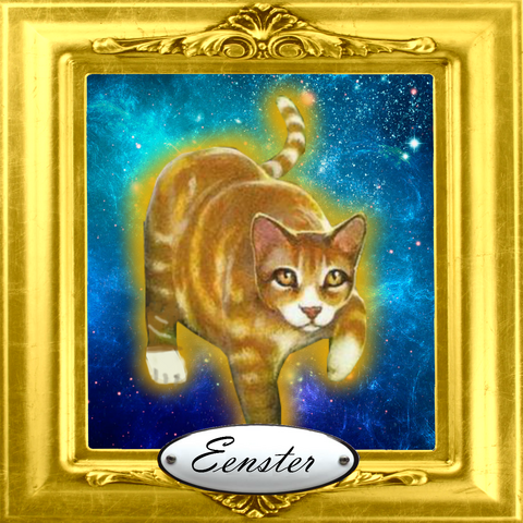 Bestand:GebruikerEensterAvatar.png