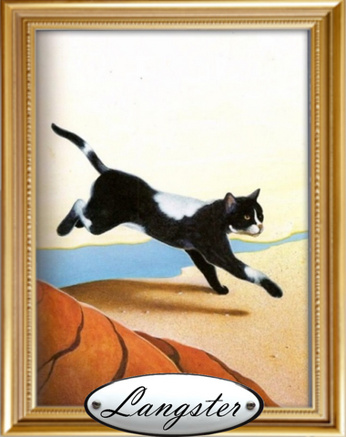 Bestand:Mooi2.png