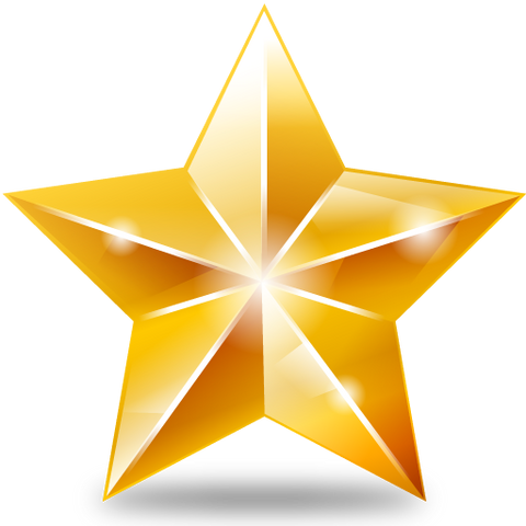 Bestand:LeidersterIcoon.png