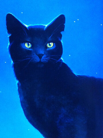Bestand:Nightstar.jpg