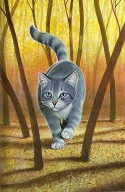 Bestand:Silverstream.jpg