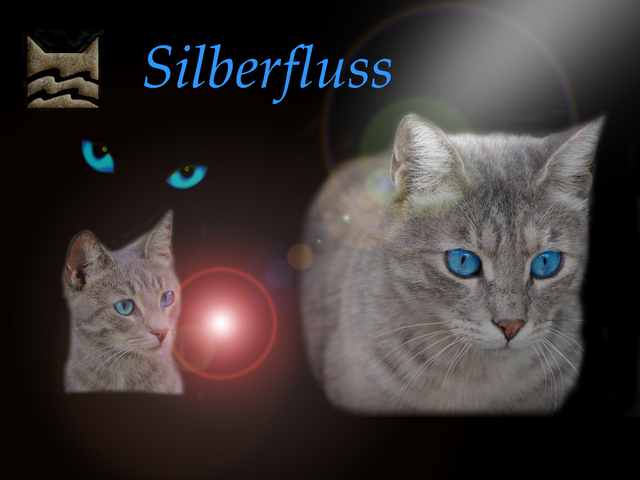 Datei:Silberfluss.Wallpaper.bySilver.fürSilber.png