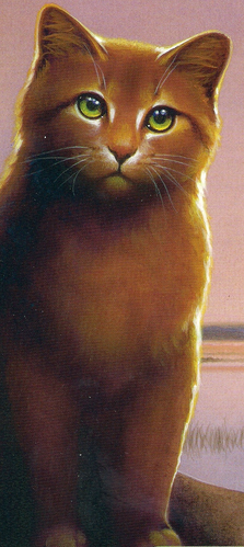 Warrior Cats Feuersterns Geschichte Warrior Cats Feuersterns Geschichte