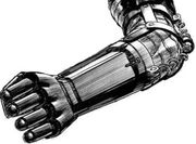 Forearm