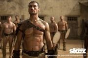 Spartacus-workout.jpg