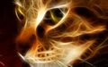Thumbnail for version as of 20:21, December 18, 2012