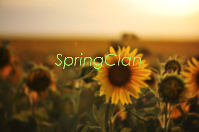 File:Springspringspring.jpg