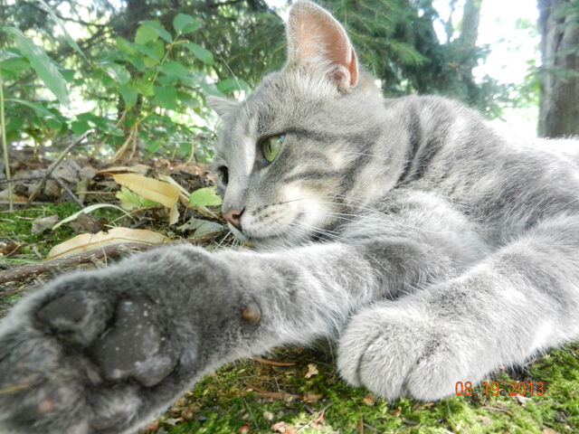 File:DSCN3003.jpg