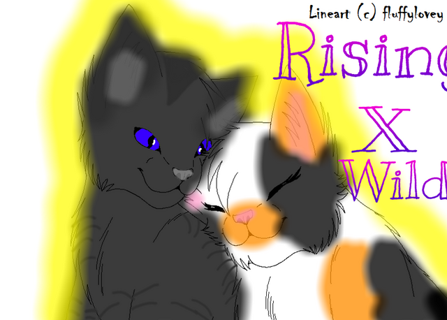 File:Rowan B-Day gift.png