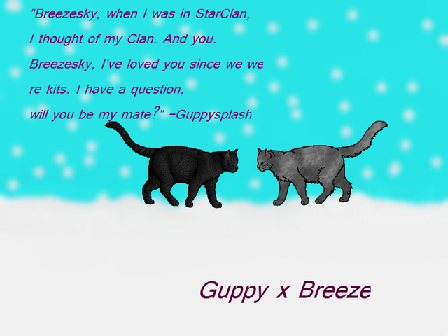 File:Gift.Shoon.png