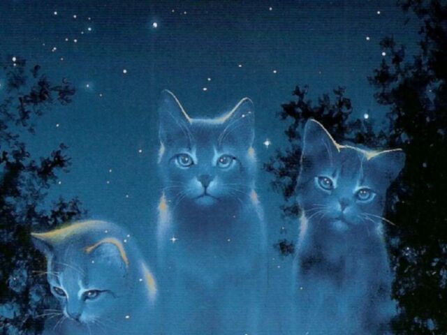 File:Starclan-cats-warriors-novel-series-31827216-1024-768.jpg