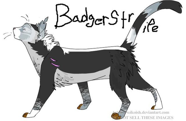 File:Badgerstripe.jpg