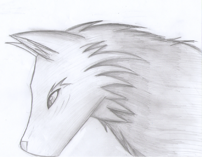 Testing Scanner