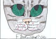 Flood the kitty