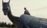 Saphira and Eragon