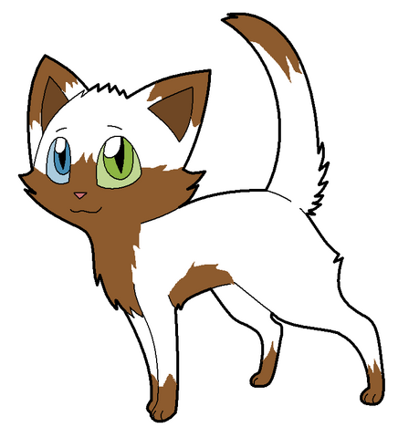 File:Mudkit.png