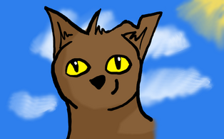 Mousebrair.profile