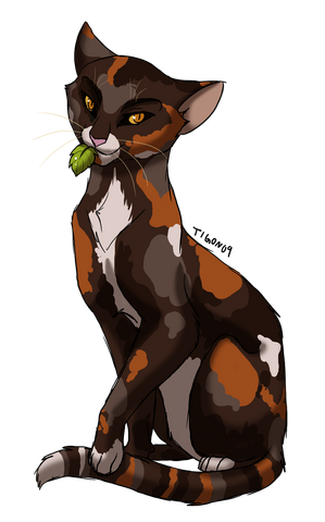 Файл:Spottedleaf by tigon1.png
