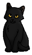 Сумрачка (котёнок).png