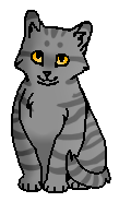 Паутинка (котёнок).png