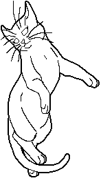 File:StarClan.short.female.png