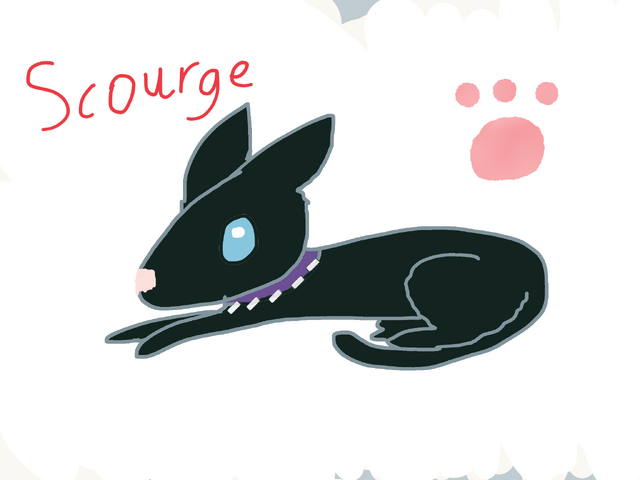 File:Image-1483941708.png
