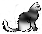 File:Coldpelt.warrior.png