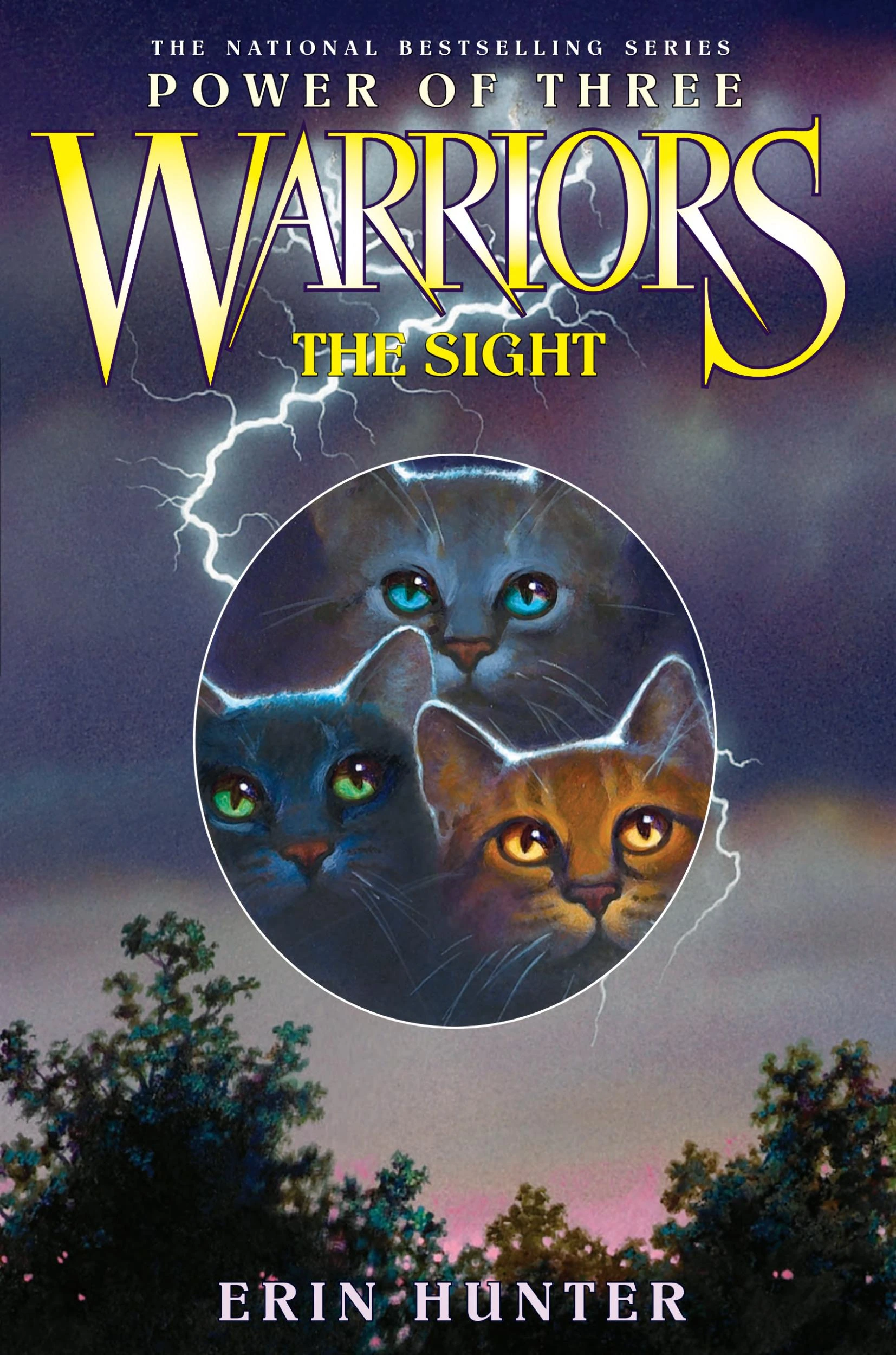 The Sight Warriors Wiki FANDOM powered by Wikia