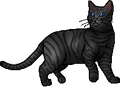Thumbnail for version as of 21:50, November 7, 2015