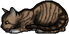 File:Leafpool.kit.png