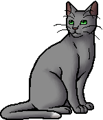 File:Honey Pelt.warrior.alt.png