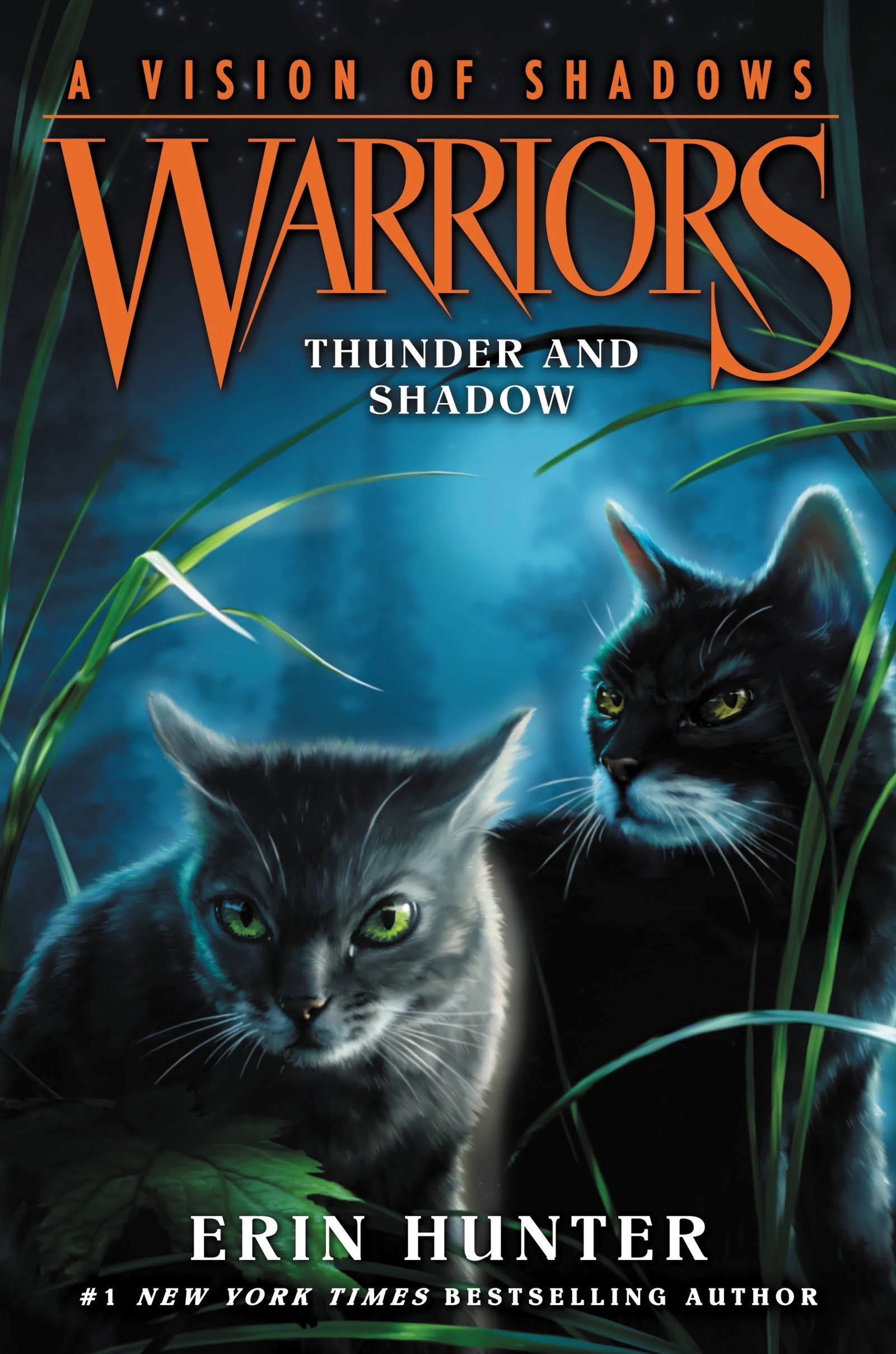 Is There Going To Be A Warrior Cats Movie Is There Going To Be A Warrior Cats Movie