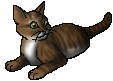 File:Emberkit (DotC).star.png