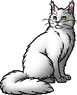 Whitestorm.warrior