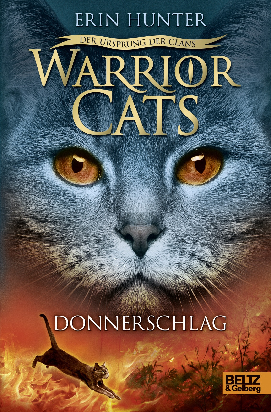 Gatos Guerreiros - Livros