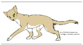 Thumbnail for version as of 17:20, January 21, 2013