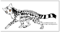 Thumbnail for version as of 17:15, January 21, 2013