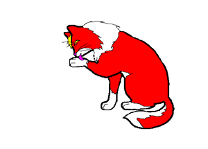 Redclaw1