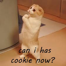 File:Can i has cookie now.jpg