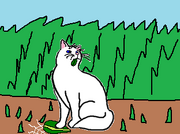 Whitesky