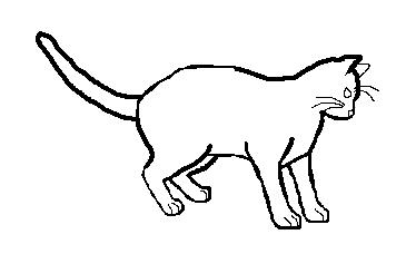 File:CatLayout11.JPG