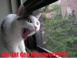 File:ISH DAT DEH IFLE TOWER!.jpg
